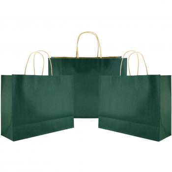 Pack of 24 Large Kraft Paper Carrier Bags in Vintage Green
