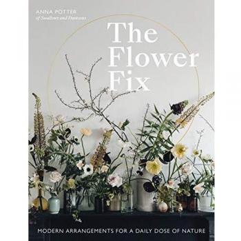 Potter, A: Flower Fix: Modern arrangements for a daily dose of nature