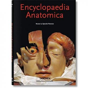 Enciclopedia anatómica