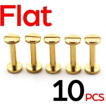 Tornillo Plano 10 Unidades para Cinturones