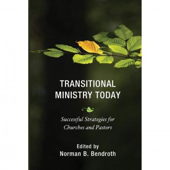 Transitional Ministry Today : Successful Strategies for Churches and Pastors
