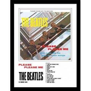 Riproduzione 40cm Beatle con Tela Nera