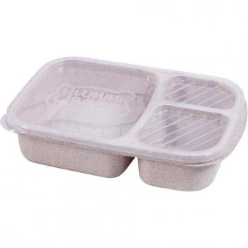 Sushi and Fruit Storage Box