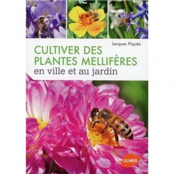 Cultiver des plantes mellifères en ville et au jardin