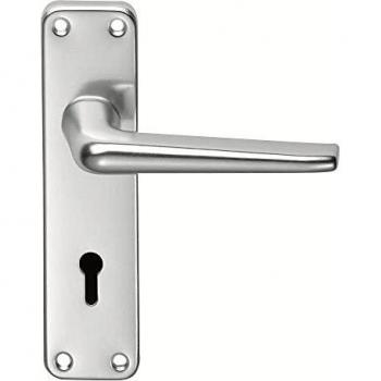 SAA21/BP Gold Aluminium Lever Lock Backplate