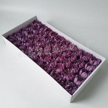 CasaCálida Asters Decoración