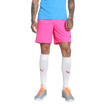 Puma TeamGoal Herren Shorts