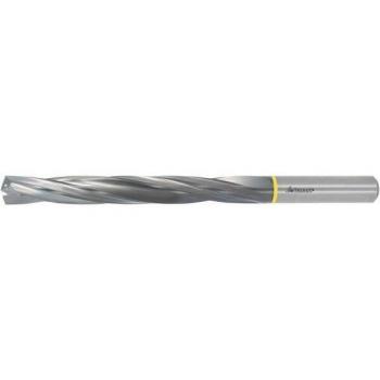 Garant Codolo Cilindrico DIN 6535 Punta HPC HMI DLC