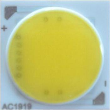 10W/20W/25W LED COB Light Beads AC220V No LED Driver Required Pure White/Warm White 10pcs