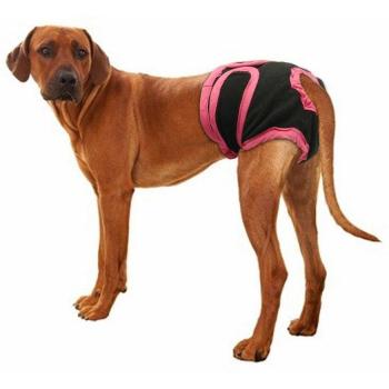 Sanitaire Shorts voor Puppy’s en Honden