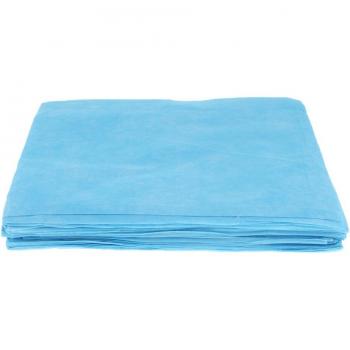10 Pcs Adult Disposable Bed Pads 31.5 x 47.2 Inch