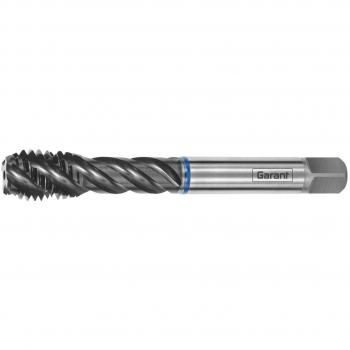 Garant Master Tap in Acciaio Inossidabile HSS‑E‑PM