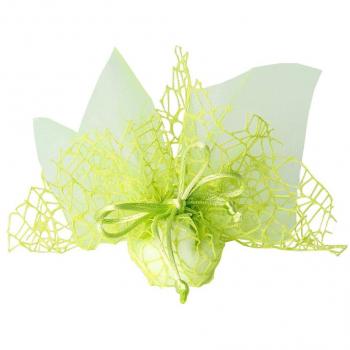 Sacs de Mariage en Organza Vert