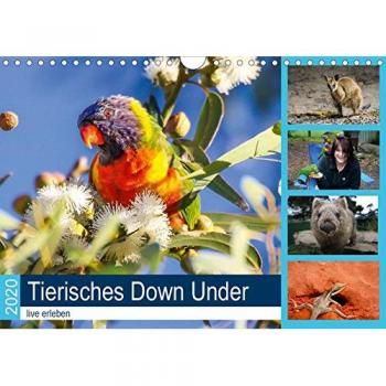 Tierisches Down Under