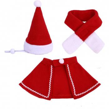 Accesorio de Invierno “Santa Purr”