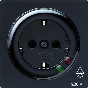 Gira Überspannungsschutz Steckdose S-Color Schwarz 144147