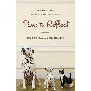 Paws to Reflect