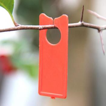 Grape Sign Cards
