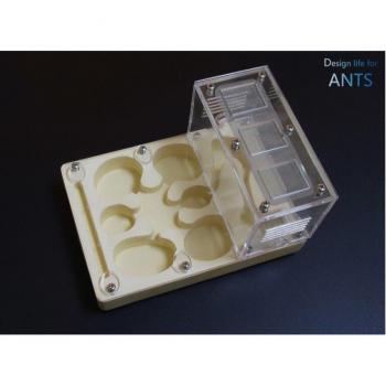 Acrylic Display Box with Plaster
