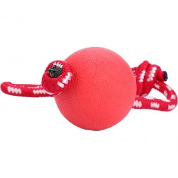Non-Toxic Odorless Dog Ball