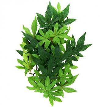 Planta de seda colgante Exo Terra Abuliton M