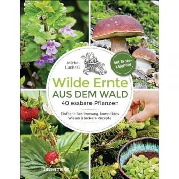 Wilde Ernte aus dem Wald