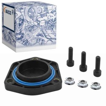 Expert V10‑9529 Coppa Olio – Guarnizione Vaico