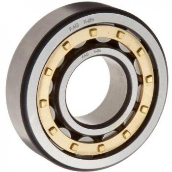 NJ2232‑E‑XL‑M1‑C3 Rodamiento de Rodillos Cilíndricos de Precisión