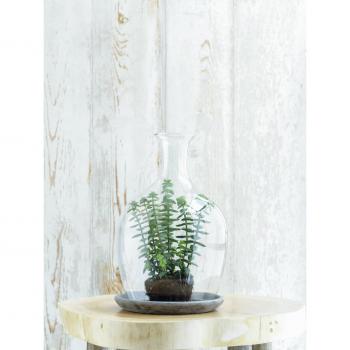 Monaco Campana in Vetro Mica 146857 – Con Piatto di Design