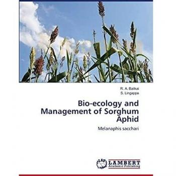 Bio-ecology and Management of Sorghum Aphid
