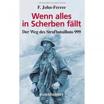 F. John-Ferrer Wenn Alles In Scherben Fällt