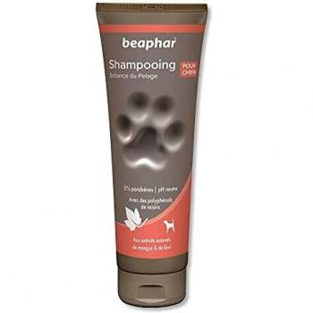 Beaphar Shampooing Premium Brillance du Poil aux Extraits Naturels de Mangue & Kiwi – 250ml