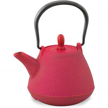 Nanbu Ironware Teacup