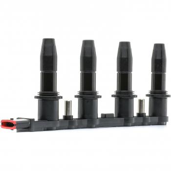 Bobina d'accensione RIDEX PLUS 689C0027P