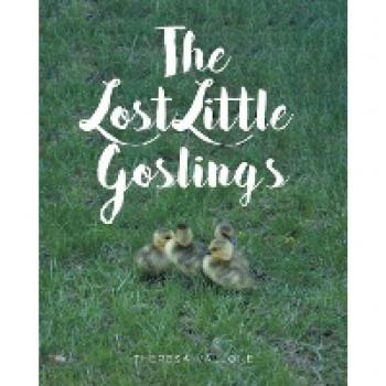 The Lost Little Goslings