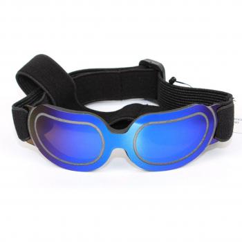 Pet Eyewear for Dogs and Cats