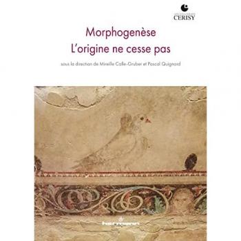 MorphogenÃ¨se, l'origine ne cesse pas