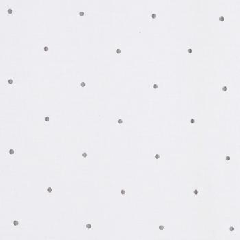 Tenda Trasparente con Cerchi e Occhielli – 140x245 cm, Bianco