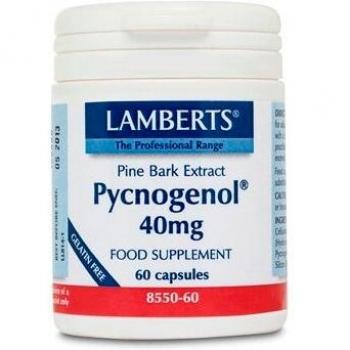 Pycnogenol 40 mg Lamberts – 60 gélules