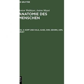 Kopf und Hals, Auge, Ohr, Gehirn, Arm, Brust