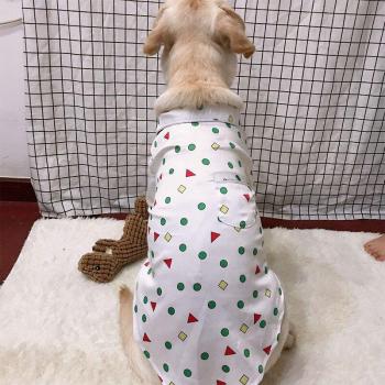 Conjunto de Verano XL con Detalles Dorados para Perros Grandes