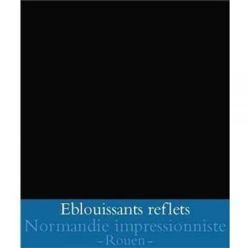 Eblouissants reflets-normandie impressionniste