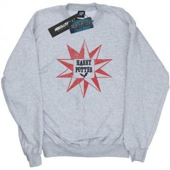 Sudadera Estilo Harry Potter Niñas Hedwig