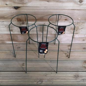 Tom Chambers Green Metal Herbaceous Garden Plant Support Ring Set (Small)
