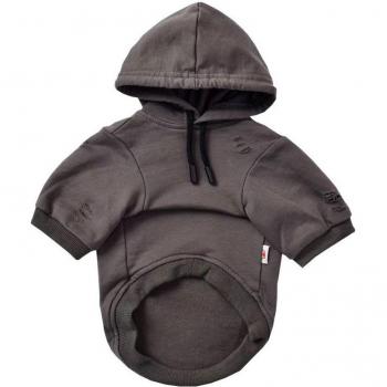 Sweat à capuche pour chien automnal