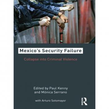 Vitalsource Technologies, Inc. Mexico's Security Failure
