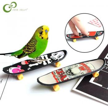 5/10pcs Mini Finger Skateboard