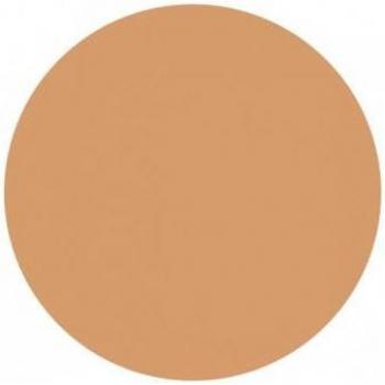 Teint Compact Perfecteur SPF25 Beige Doré 9g