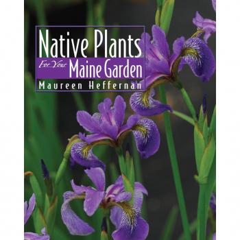 Vitalsource Technologies, Inc. Native Plants For Your Maine Garden