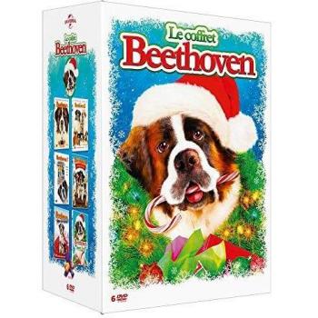 Coffret de 6 films de Beethoven